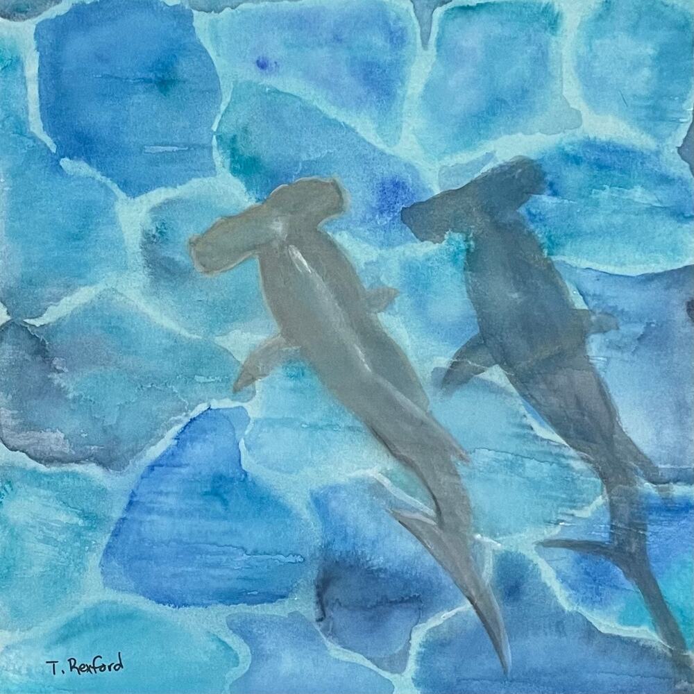 Hand painted watercolor original painting hammerhead shark